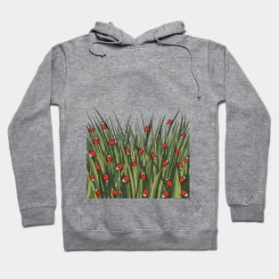 Ladybug Pattern Hoodie